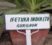 Produktionsstandort IFETURA in Gurgaon 122001 HRY.(Indien)