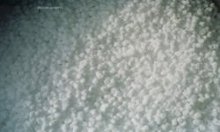 Mahlen aller Produkte (Elastomere, Kunststoffe, Nahrungsmittel, mineralische, chemische, pflanzliche und pharmazeutische Produkte) unter verschiedener Gestalt 